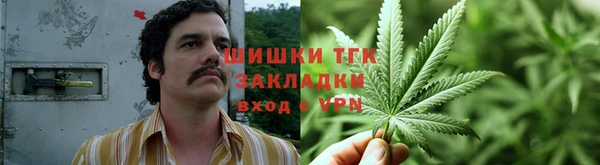 прущие грибы Балахна