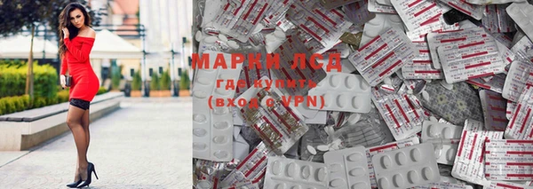 прущие грибы Балахна